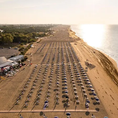 Flat Featuring A Large Sun-filled Terrace
