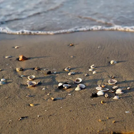 Flat Featuring A Large Sun-filled Terrace *